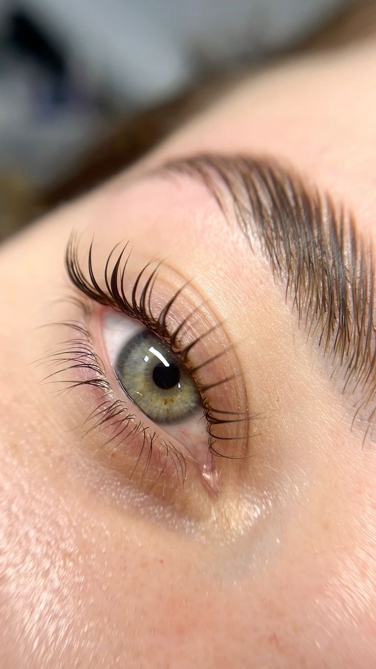 Kurs lash lift